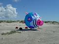 Fanø 2010 038